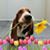 Billie Purdy's profile image