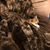 Deanna Morris's profile image