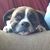 Lee Bunn's profile image