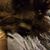 Geri Stoll's profile image