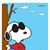 David Kittleson's profile image