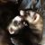 Lisa M. Martinez's profile image