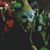 Jami Nicolai-Goza's profile image