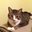 Lois Proff's profile image
