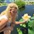 Ruth Ann Furst's profile image