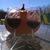 Tim Regan's profile image