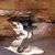 Tim Crumpler's profile image