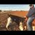 Jodie Riggs Lynch's profile image