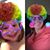 Bonnie Houser Webb's profile image