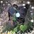Janell Johnston's profile image