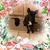 Karen Domijan's profile image