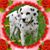 Jackie Russell's profile image