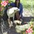 Miriam Sharp's profile image