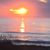 Susan W. Wilson's profile image