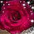 Lynette McGovern's profile image