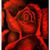 Byron Journet's profile image