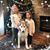 Amanda Prine-Kollmann's profile image