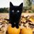 Jerry James's profile image