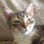 Patsy Bland Wofford's profile image