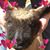 Katy Evans's profile image
