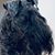 Sue Bower's profile image