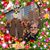 Carrie Tallier's profile image