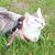 Jennifer Bedard's profile image
