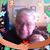 Jerry Baker's profile image