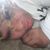 Cynthia Collins's profile image