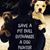 Michelle Dalke's profile image