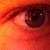 Dave Donacik's profile image