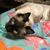 Maria Loza's profile image