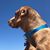 Sara Jensen King's profile image