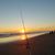 Michelle Raby's profile image