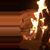 Scott A. McKay's profile image