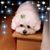 Linda Sceiford's profile image