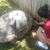 Cheyenne Trejo's profile image