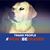 Frederick Cristiano's profile image