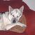 Dianna Dunaway's profile image