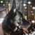 Angie Amos Champion's profile image