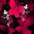 Barbara Shattuck's profile image