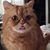 Todd Riggs's profile image