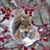 Heather Eastman's profile image