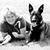 Beata Whitehead's profile image