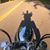 Rich Ferguson's profile image