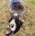 Melissa Dooley's profile image