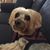 Susan Little's profile image
