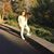 Aricka Graff's profile image