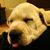 Rick Drummond's profile image