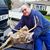 John Fityere's profile image